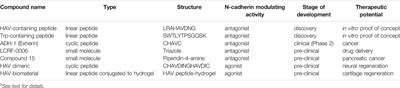 Potential Therapeutic Applications of N-Cadherin Antagonists and Agonists